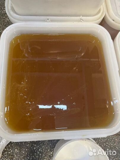 Липовый свежий мед опт