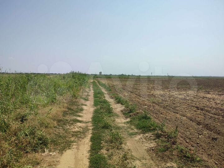 Участок 16 га (СНТ, ДНП)