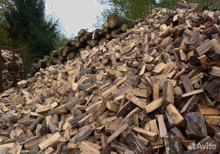 Дрова в область