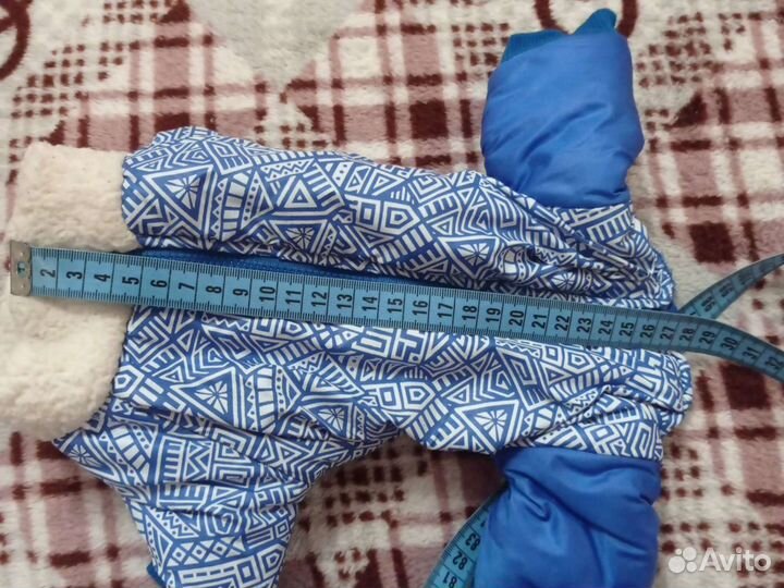 Комбинезон Для мелкой собачки