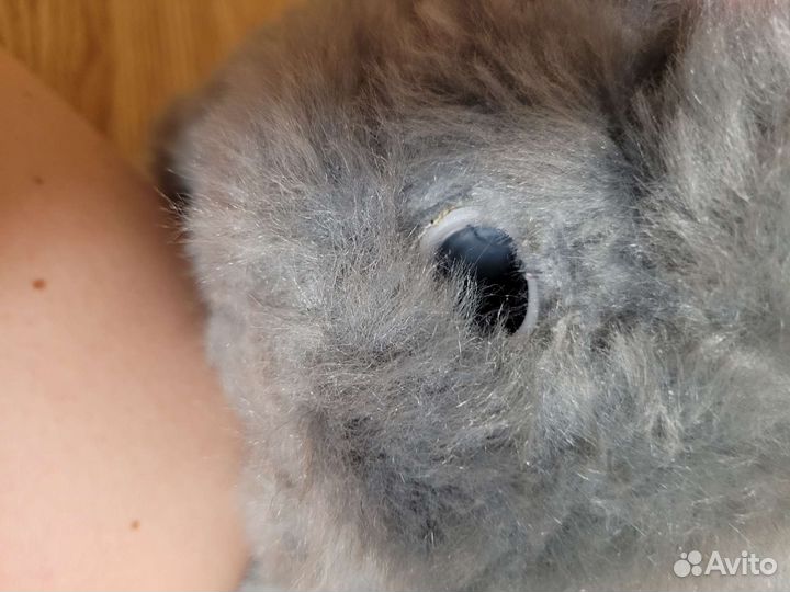 Fur real собака хаски