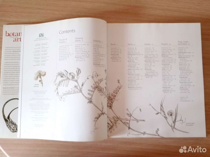 Сара Симблет. Ботаника для художника