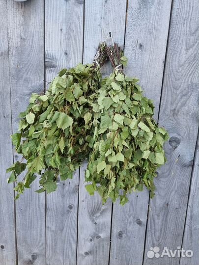 Веники березовые для бани