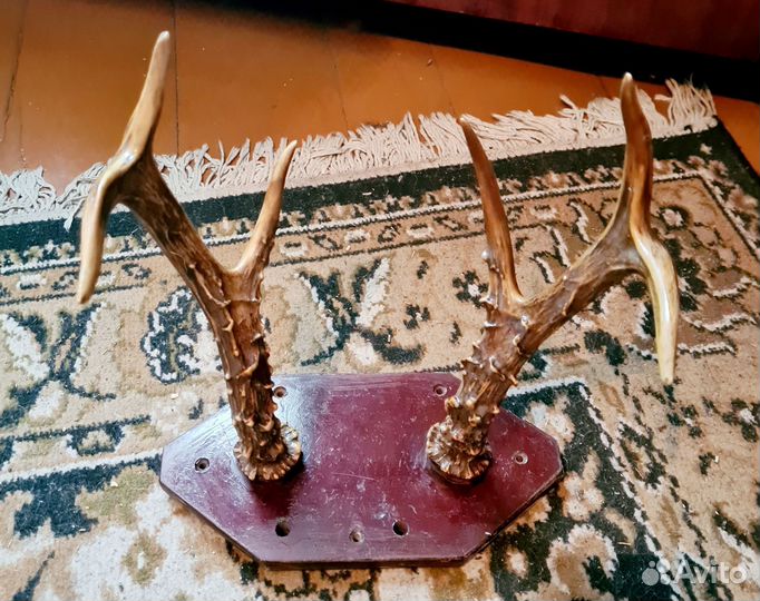 Рога пакетом