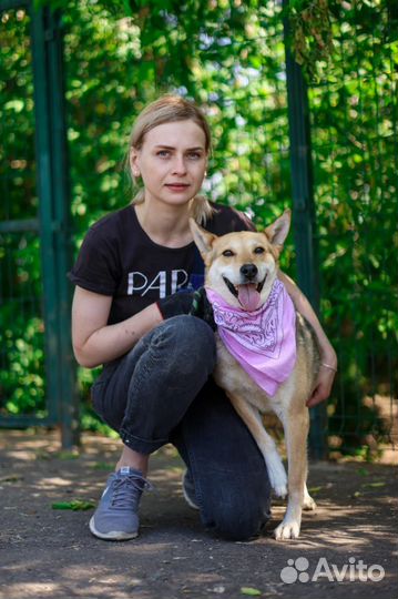 Собака в дар. Красавица принцесса Кэтрин