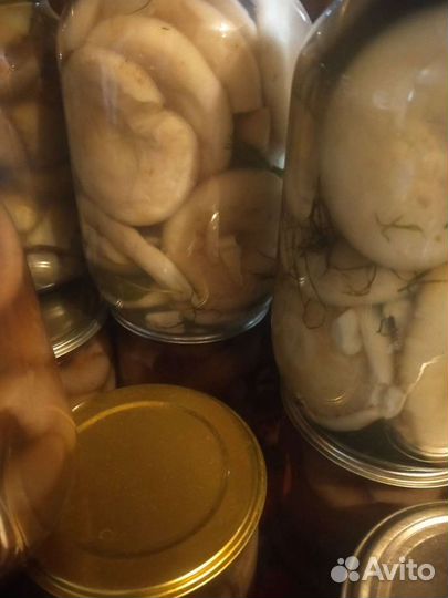 Грибы, соления