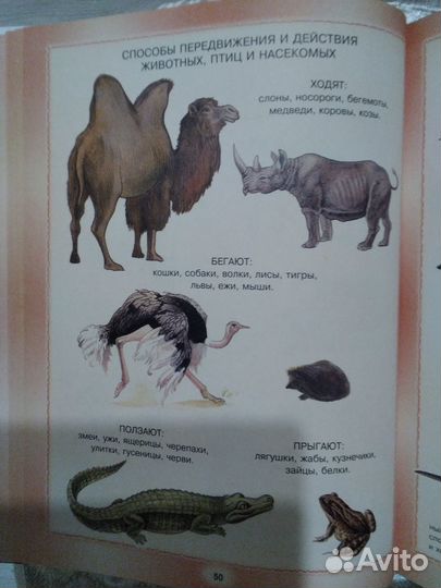 Книги по развитию речи дошкольников