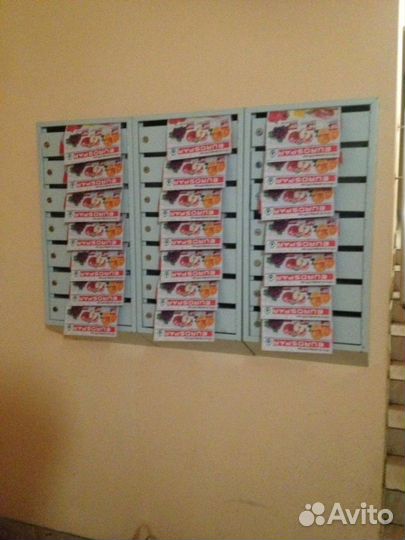 Распространение листовок по почтовым ящика