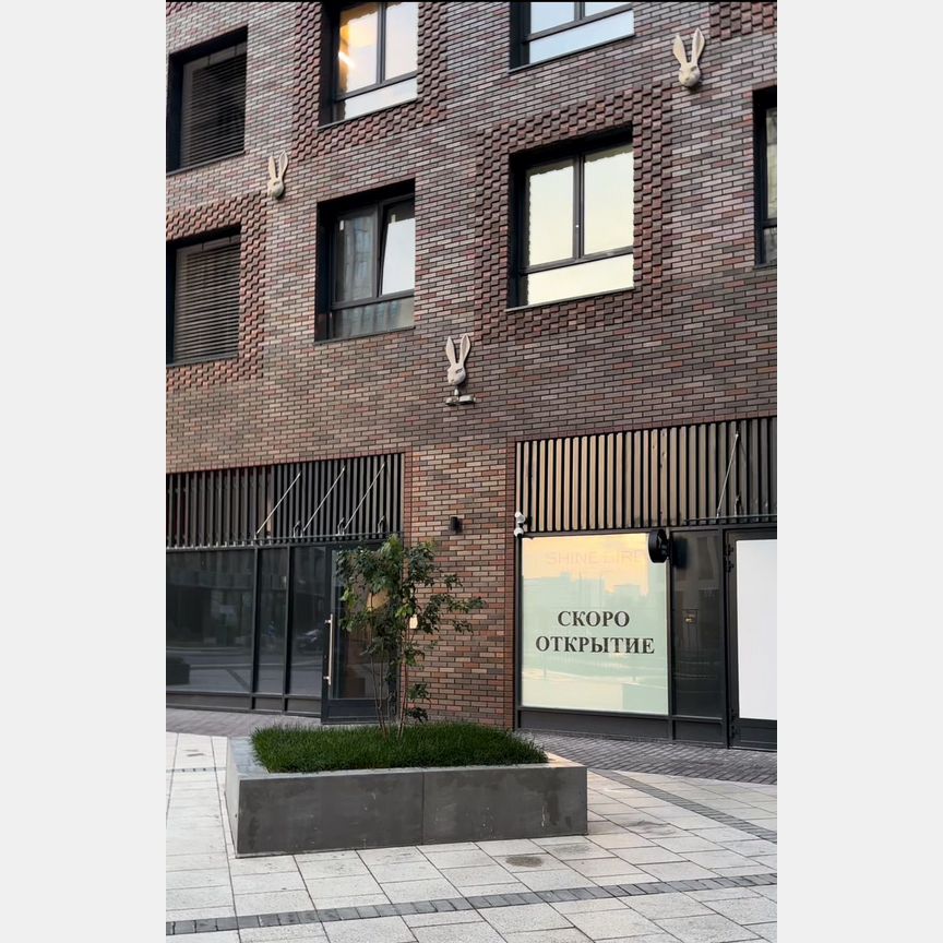 Квартира-студия, 22,8 м², 15/26 эт.