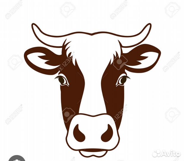 Говяжьи, бараньи Головы