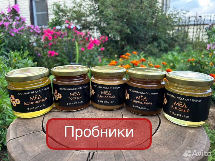 Мед донниковый. Оптом из Барнаула