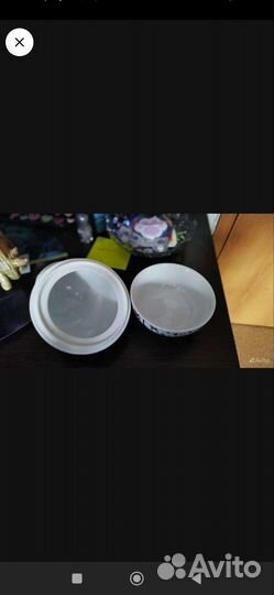 Лисы и панды, кот