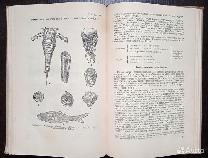 Страхов Н.М. 