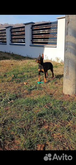 Такие как мы любим