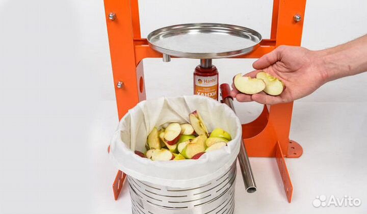 Пресс для сока Hanhi