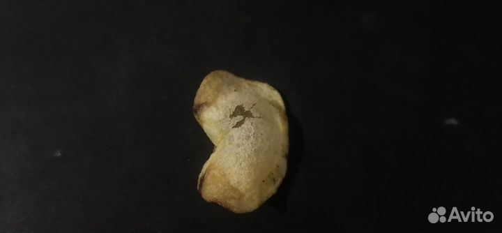 Чипсина ввиде пельменя