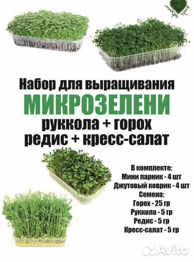 Набор для выращивания микрозелени (опт)