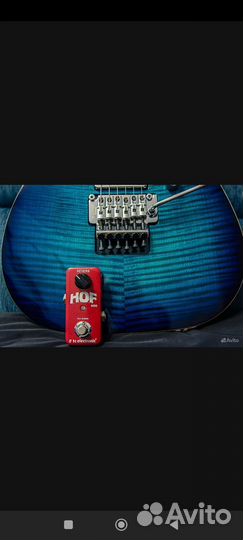 Wampler+Hof фузз в подарок