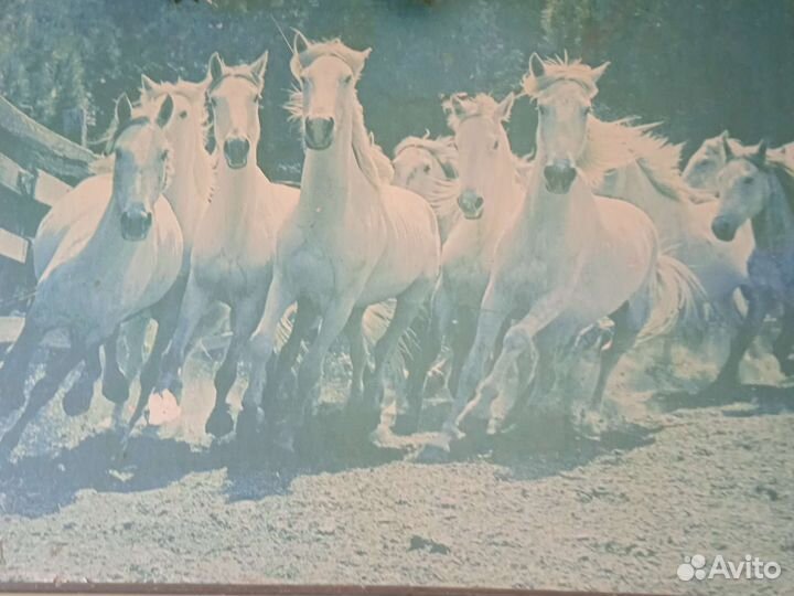 Картина из фото78/50