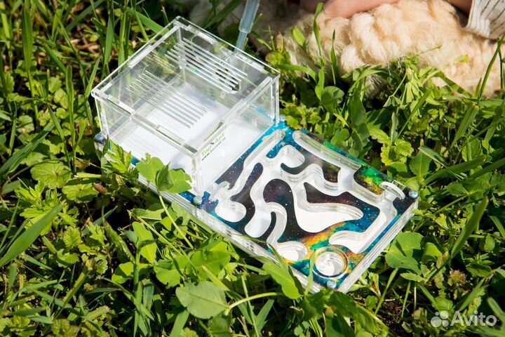 Муравьиная ферма / Формикарий