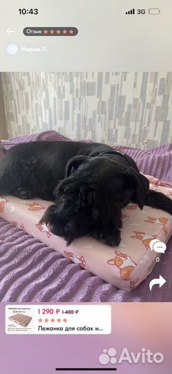 Лежанка для собак и кошек съемный чехол для клетки