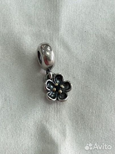 Пандора шарм