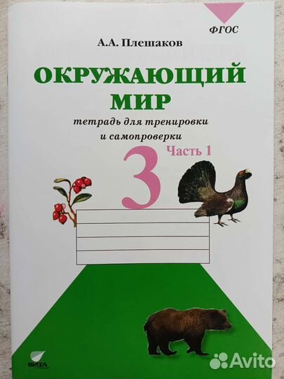 Окружающий мир 3 класс