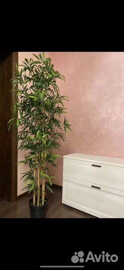 Искусственное дерево IKEA бамбук