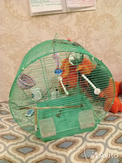 Клетка для попугая