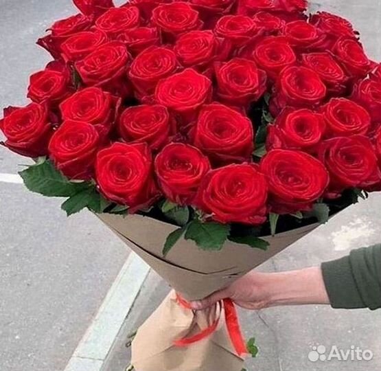 Розы гиганты 140 150 160 170 180 200