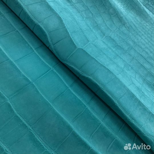 Целая одёжная шкура крокодила нубук цвет бирюзовый