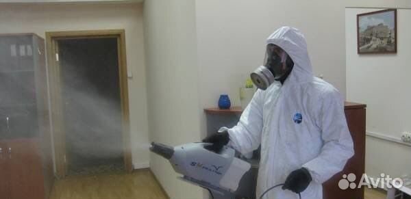 Дезинфекция уничтожение клопов тараканов муравьёв