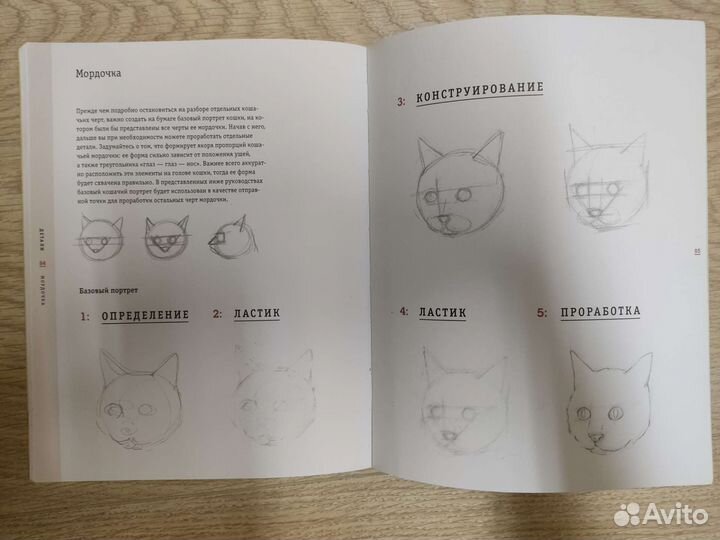 Книга для обучения рисования кошек
