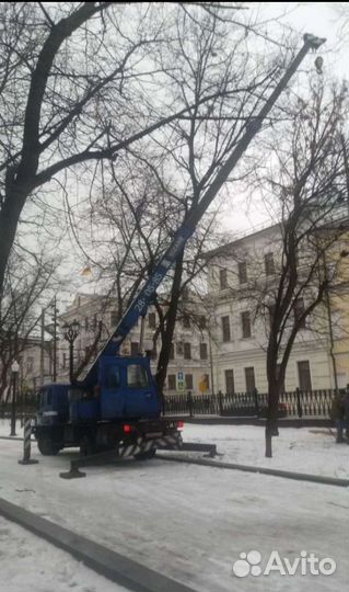 Автокран 5 тонн кран