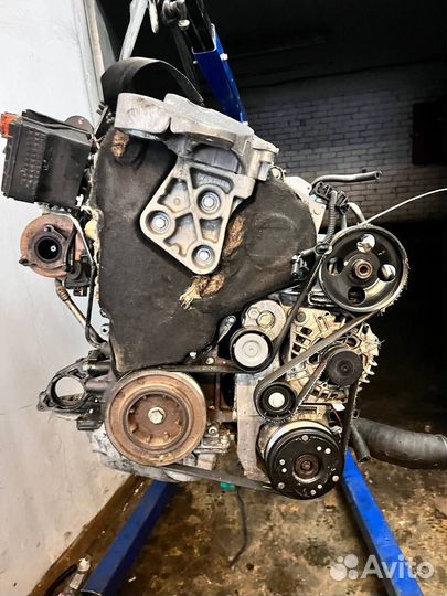 Двигатель Nissan Primera седан III 1.9 dCi (F9Q260