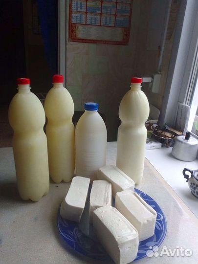 Молоко козье. Сыр