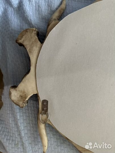 Зеркало настенное