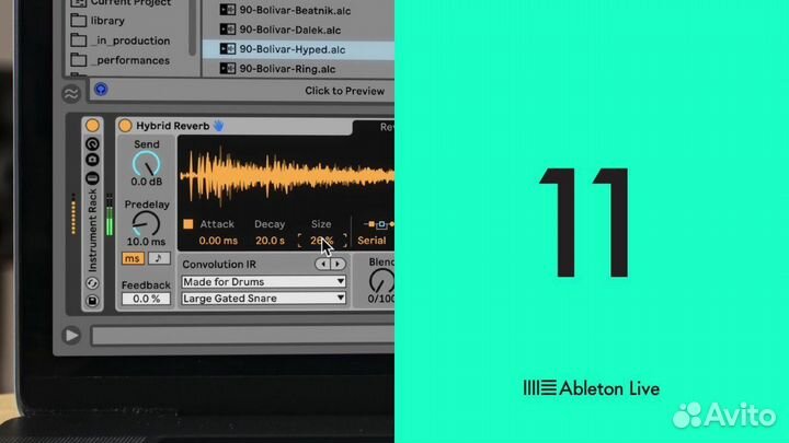 Ableton Лицензия, Live 11 lite