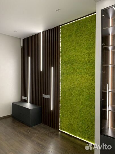 Стабилизированный мох