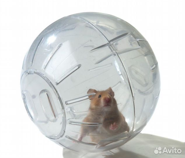 Клетка для хомяка бу, шар для прогулки