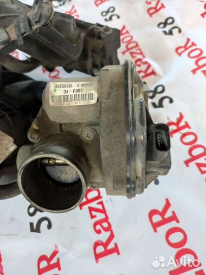 Впускной коллектор Ford Focus 2 1.6 115 л с бу