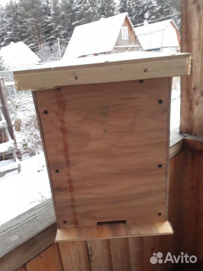 Ловушка для пчел