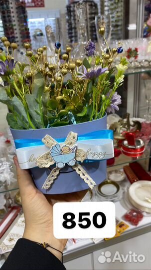 Хонча для новорожденных