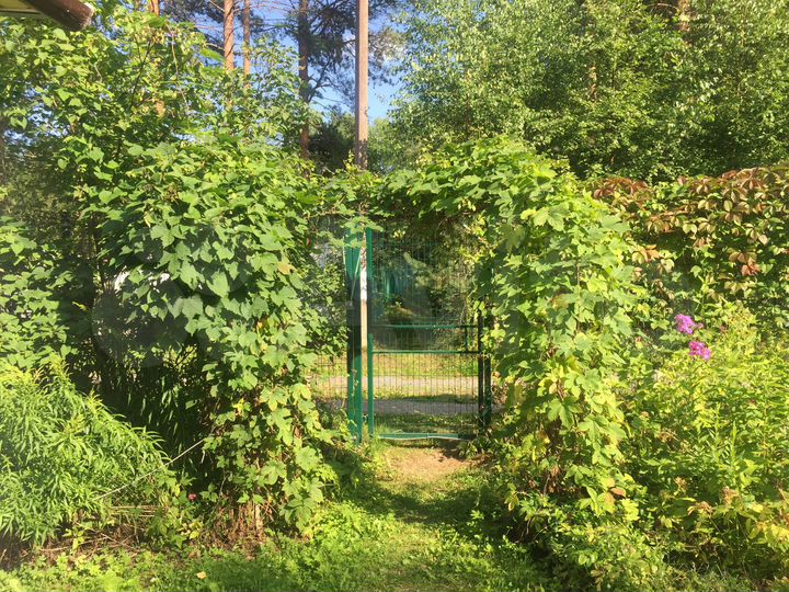 Участок 14,8 сот. (ИЖС)