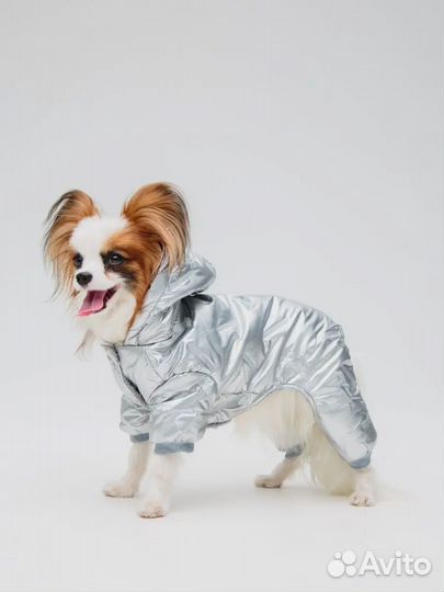 Продам костюм для собак новый