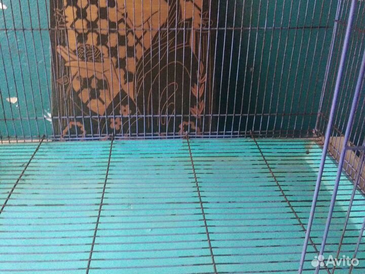Клетка для грызунов
