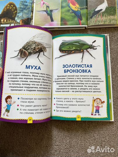 Книги Энциклопедия для детей