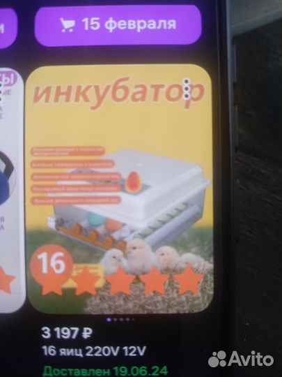 Инкубатор для яиц автоматический