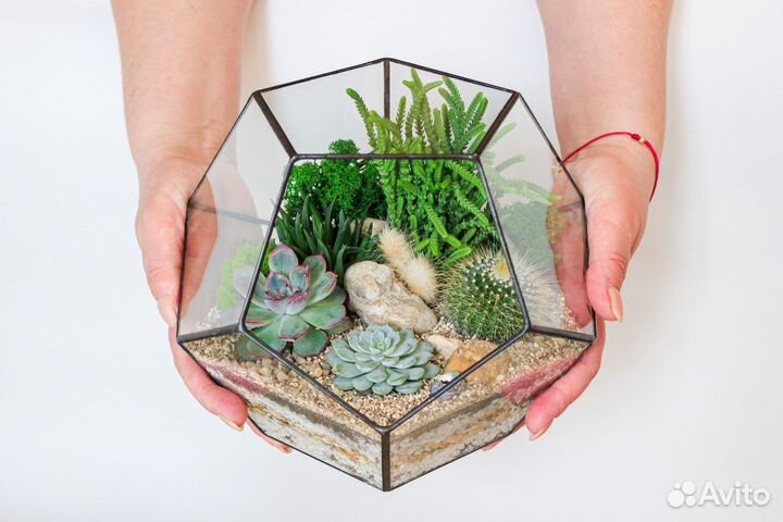 Флорариум с суккулентами
