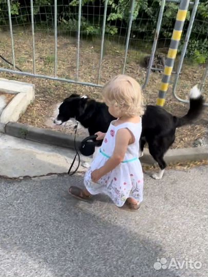 Летние платья для девочки 18-24(92) zara и др